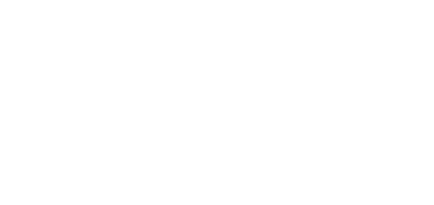 Schägner Cups